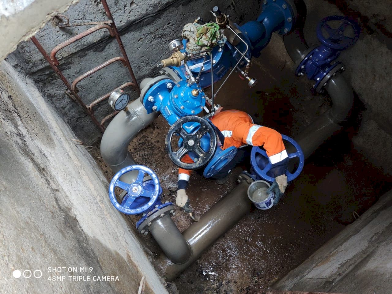 IMG-20200127-WA0003_resultjpg